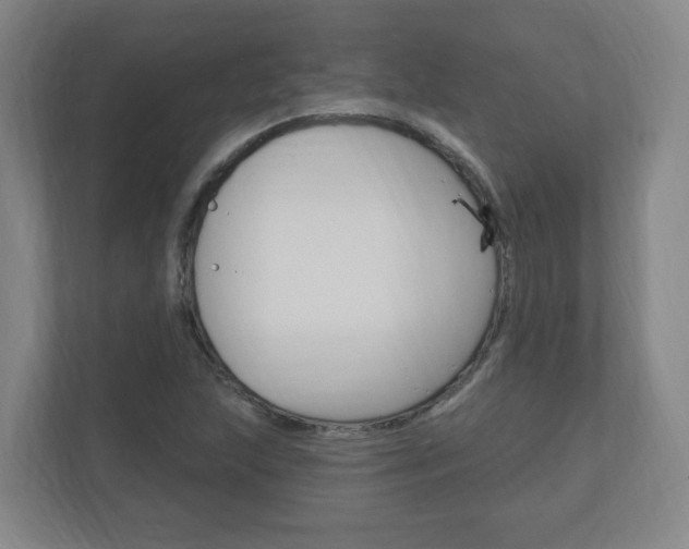 X0000111041215200906251131