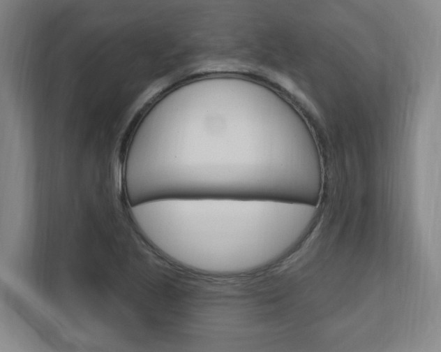 X0000111041221200906251131