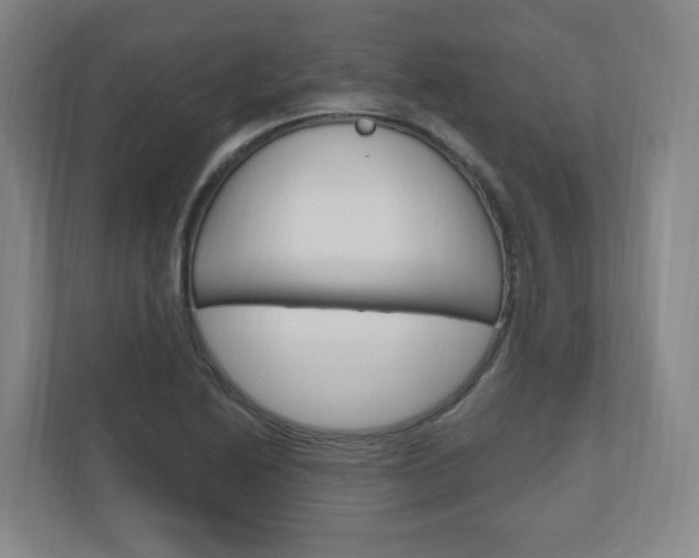 X0000111041222200906251131