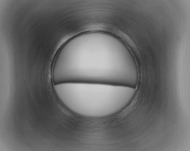 X0000111041226200906251131