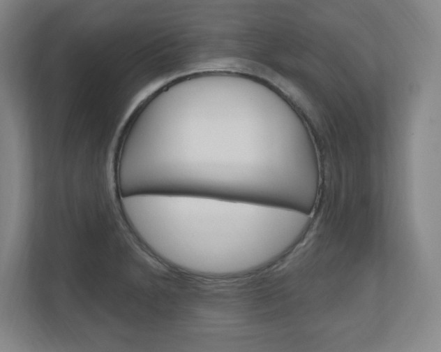 X0000111041230200906251131