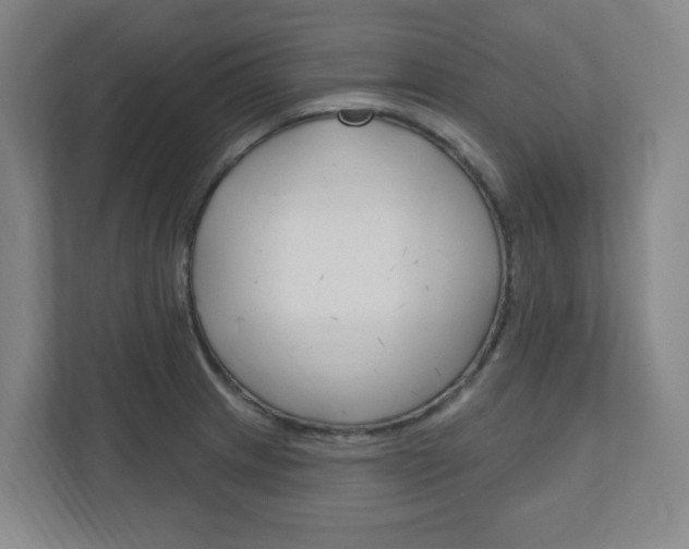 X0000111041233200906251131