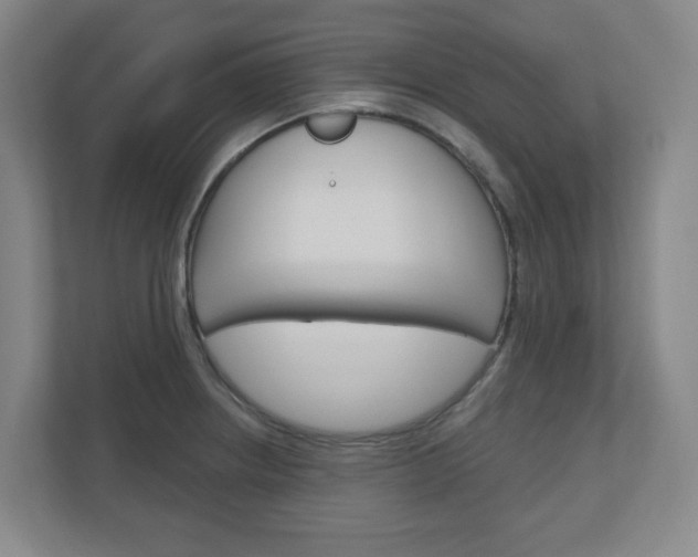 X0000111041234200906251131