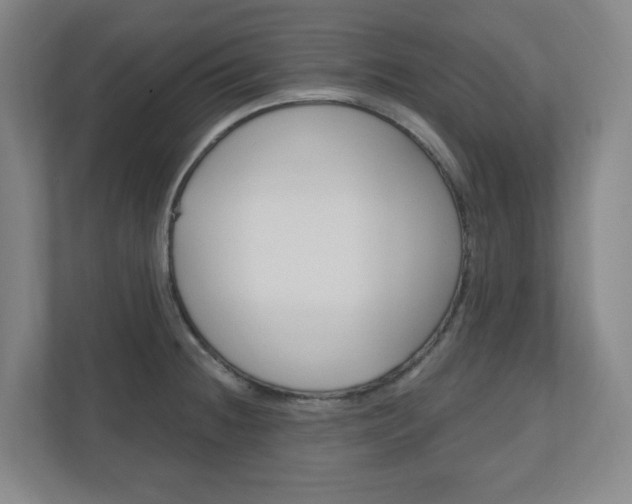 X0000111041236200906251131