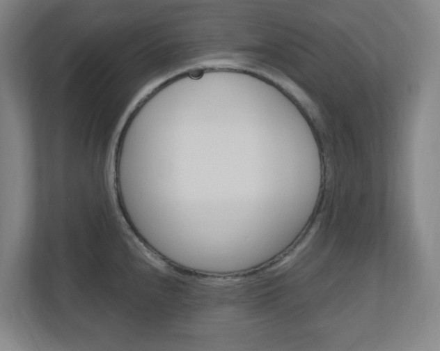 X0000111041240200906251131