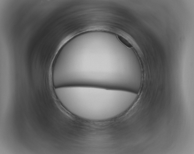 X0000111041242200906251131