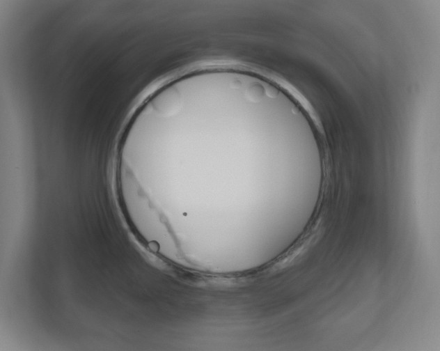 X0000111041245200906251131