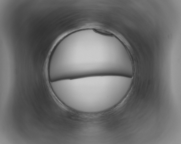 X0000111041246200906251131