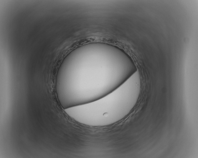 X0000111041253200906251131
