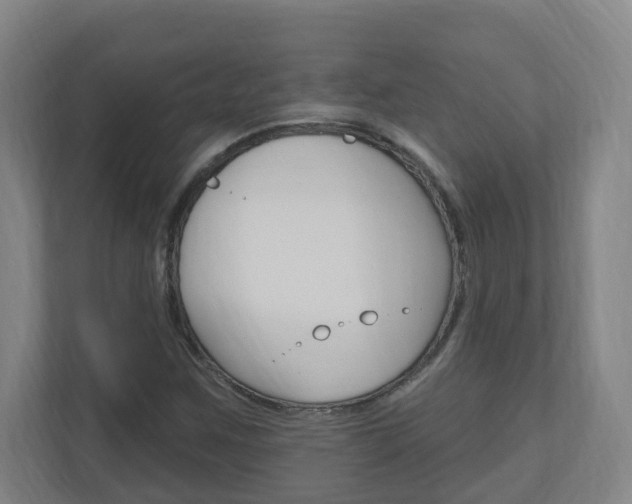 X0000111041259200906251131