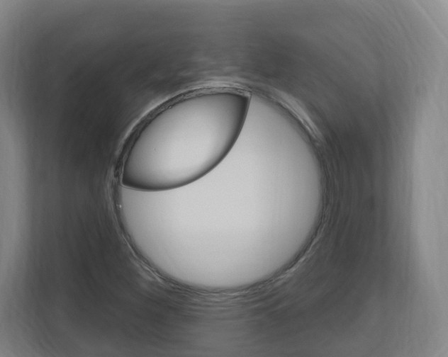 X0000111041260200906251131