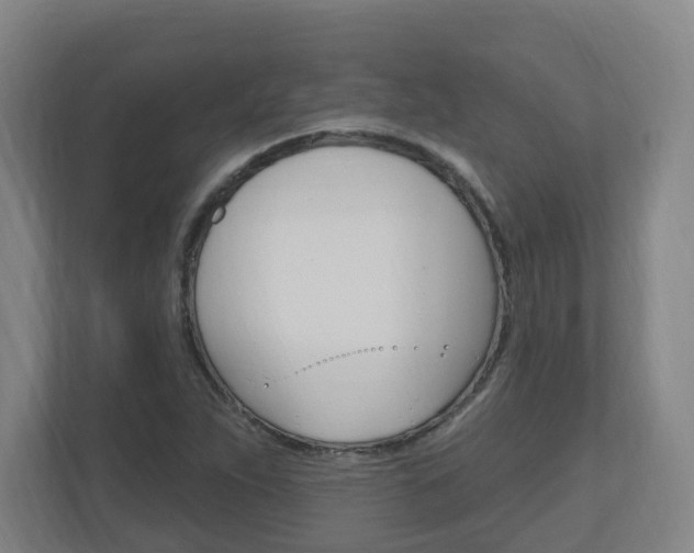 X0000111041263200906251130