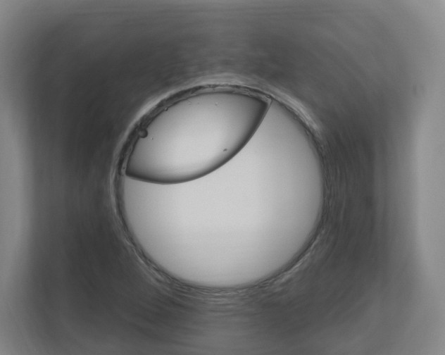 X0000111041264200906251130