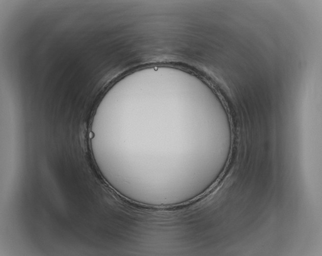 X0000111041265200906251130