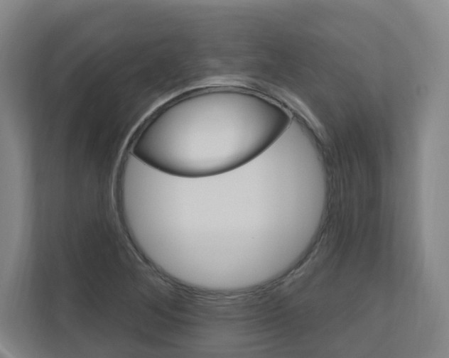 X0000111041268200906251130