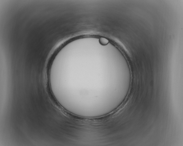 X0000111041270200906251130