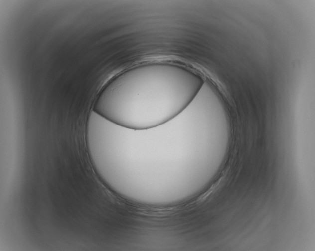 X0000111041273200906251130