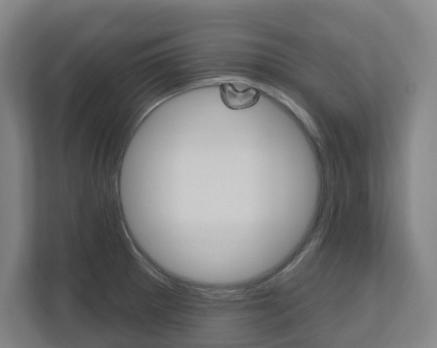 X0000111041281200906251130