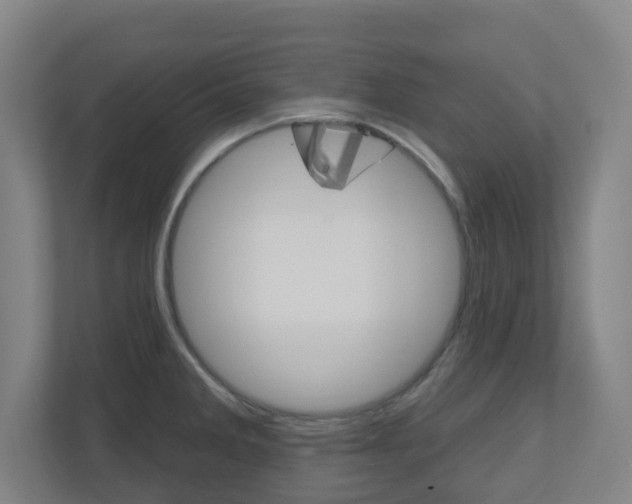 X0000111041285200906251130