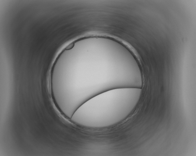 X0000111041295200906251130