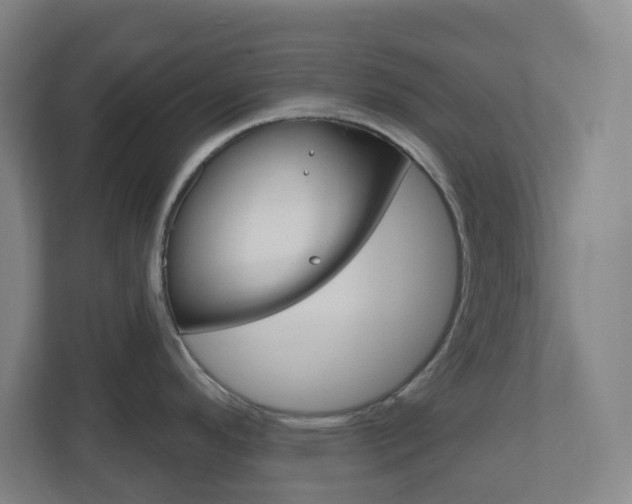 X0000111041296200906251130