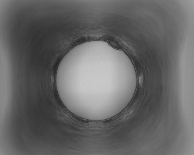 X0000111041299200906251129
