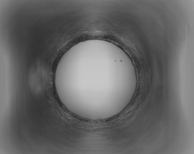 X0000111041301200906251129