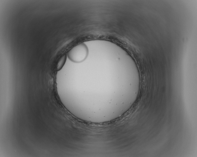 X0000111041302200906251130