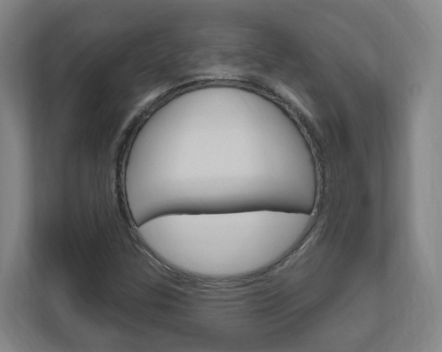 X0000111041307200906251130