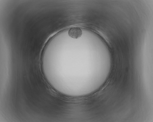 X0000111041308200906251130