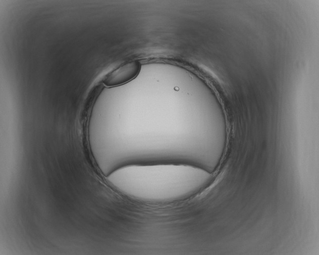 X0000111041309200906251130