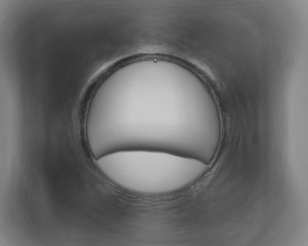 X0000111041311200906251130