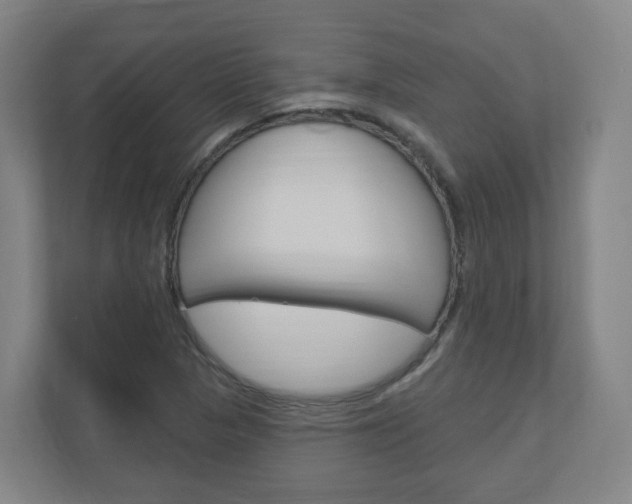 X0000111041313200906251130
