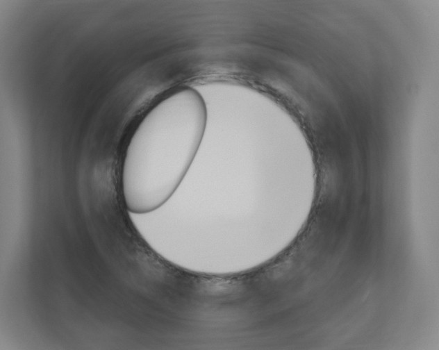 X0000111041314200906251130
