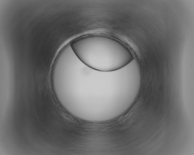 X0000111041316200906251130
