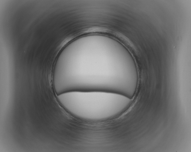 X0000111041321200906251130