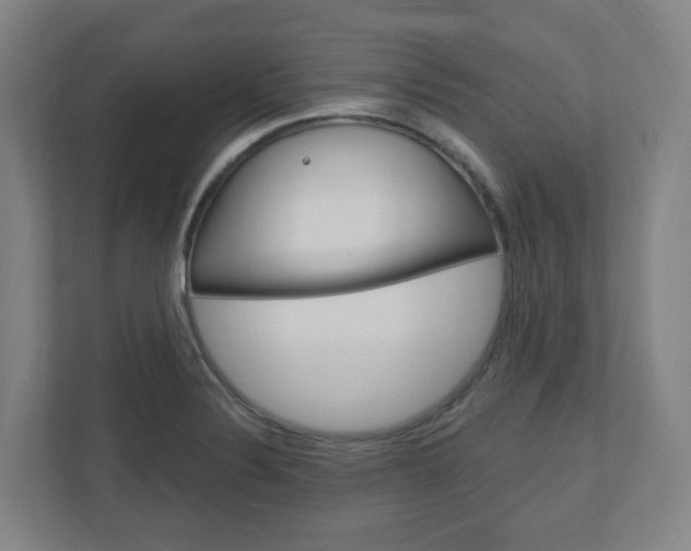 X0000111041324200906251130