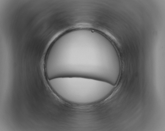 X0000111041325200906251130