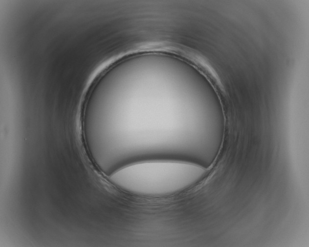 X0000111041328200906251130