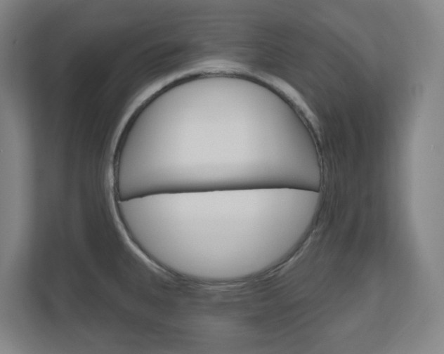 X0000111041335200906251130