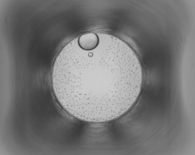 X0000111041338200906251130