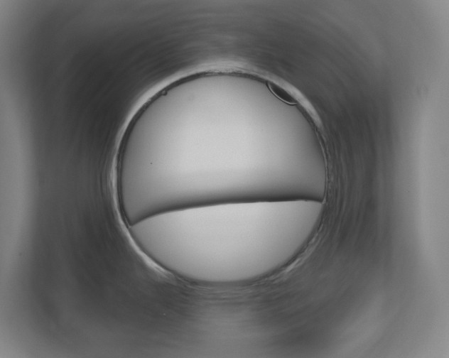 X0000111041343200906251130