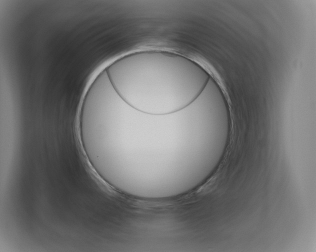 X0000111041344200906251130