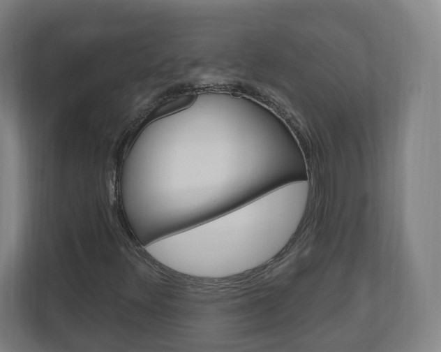 X0000111041348200906251129
