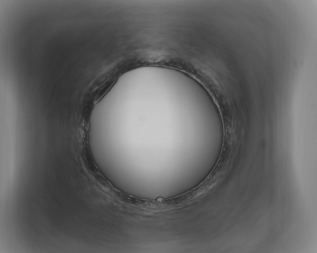 X0000111041349200906251129