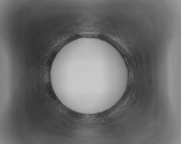 X0000111041350200906251129