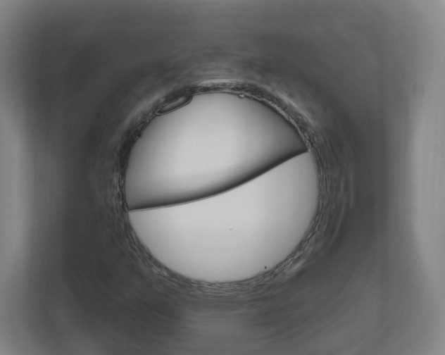 X0000111041351200906251129