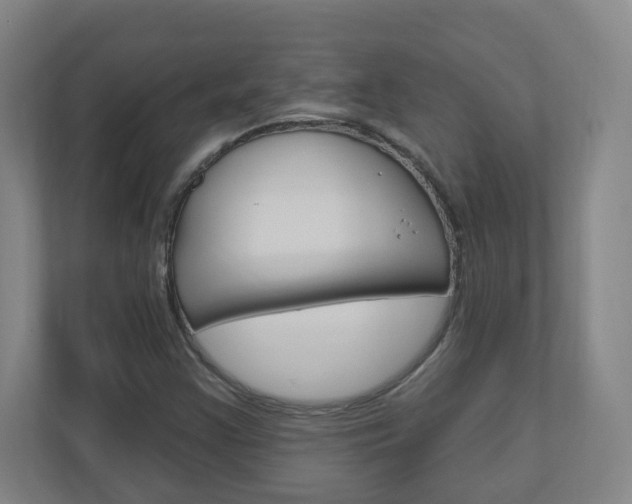 X0000111041355200906251129