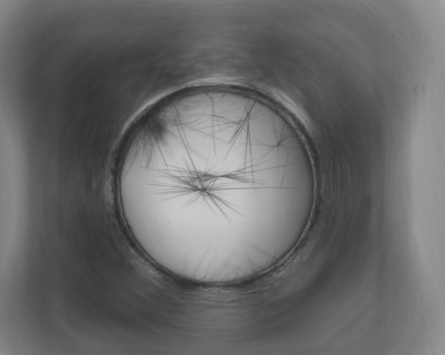 X0000111041356200906251129