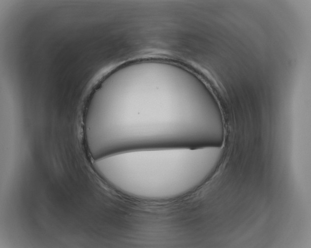 X0000111041363200906251129